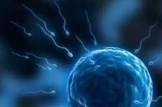 为什么做试管婴儿前要先检测AMH？