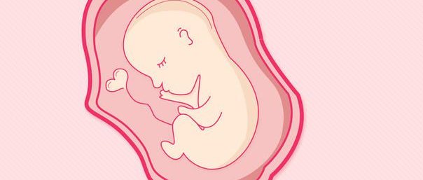 赣州市妇幼保健院试管资质详解，更新2026江西试管医院排名