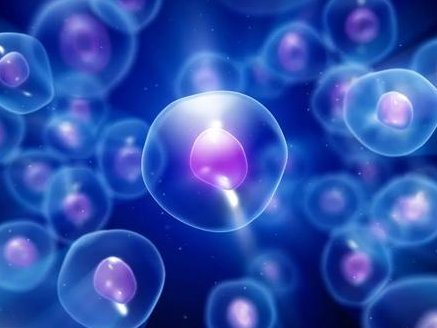 2026珲春市最新男性陪产假有多少天？试管婴儿可以增加产假吗？