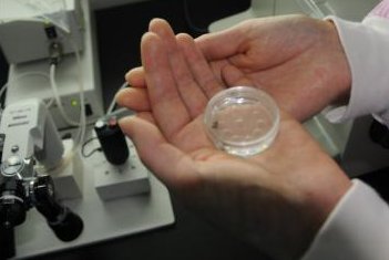 大连助孕公司排名公布，附比较好的2家机构介绍